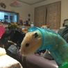 吾郎
