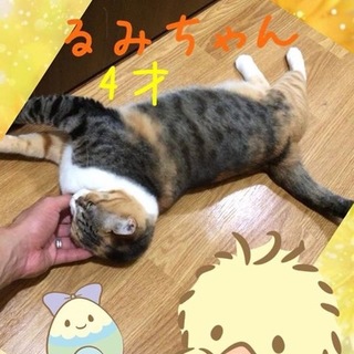 急募！