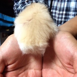 「お尻の毛カットしちゃったT^T」サムネイル1