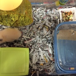 「お尻の毛カットしちゃったT^T」サムネイル2