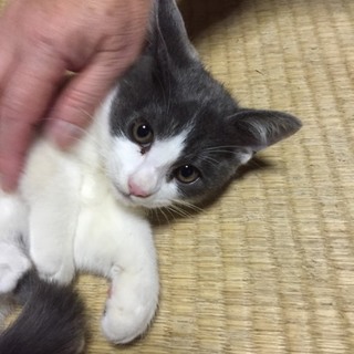 ありがとうございました！