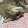 の写真
