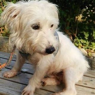 花（♀）ちゃん