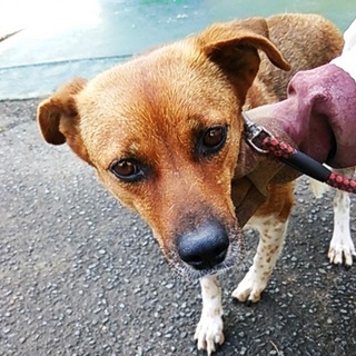 新しい家族出来ました！！