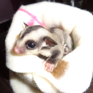 沢山のご応募ありがとうございます。