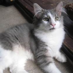 「光」サムネイル1