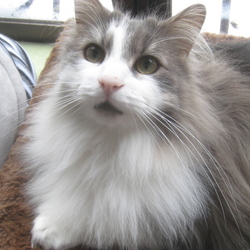 「光」サムネイル2