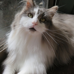 「光」サムネイル3