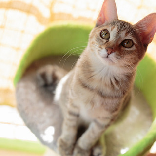 元気で可愛いフジコちゃん