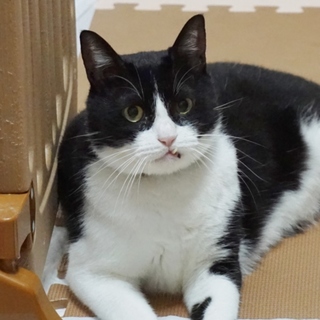 甘えん坊さんです☆