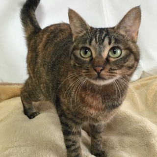 募集一時停止中☆モモちゃん