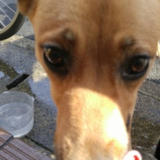 大至急！引き取って頂けないですか？