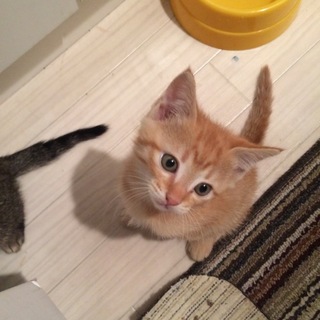 ありがとうございました♡