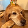 馬鹿なことをすると、こいつ馬鹿だなあ、みたいな顔をされます。