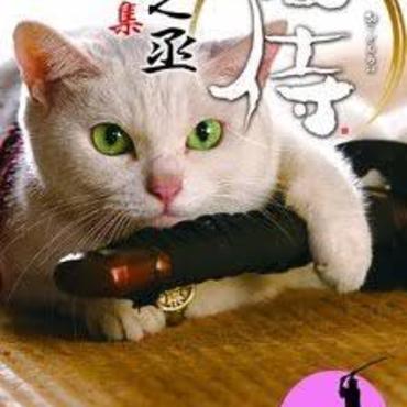 の写真