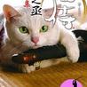 の写真