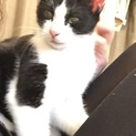 人懐っこいです！