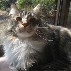 「怒りん坊ちゃん♪」サムネイル2