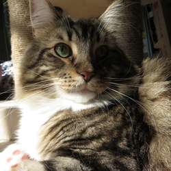 「怒りん坊ちゃん♪」サムネイル3