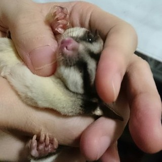 多数のご連絡ありがとうございました！