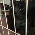 無事に決まりました!!