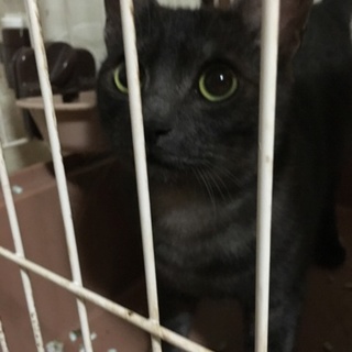 無事に決まりました!!