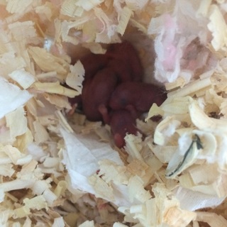 たくさんの応募ありがとうございました！