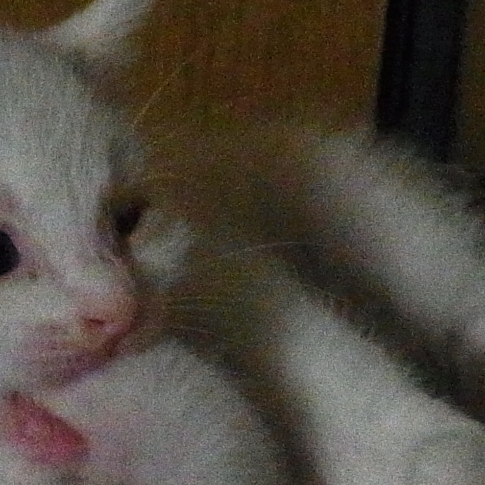 ユーリのカバー写真