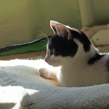 横顔。かわいいです。