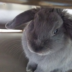 えっ！違ったの？？