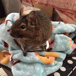 起きたら。