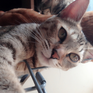 美形な「れお」♀可愛いので見てるだけで癒されます！