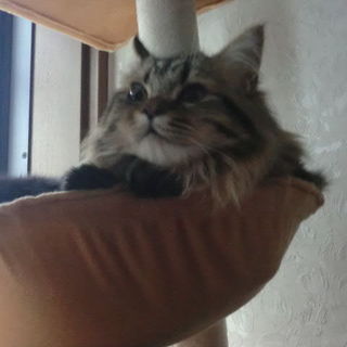 再募集のために一度終了します