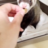 の写真