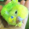 の写真