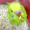 の写真