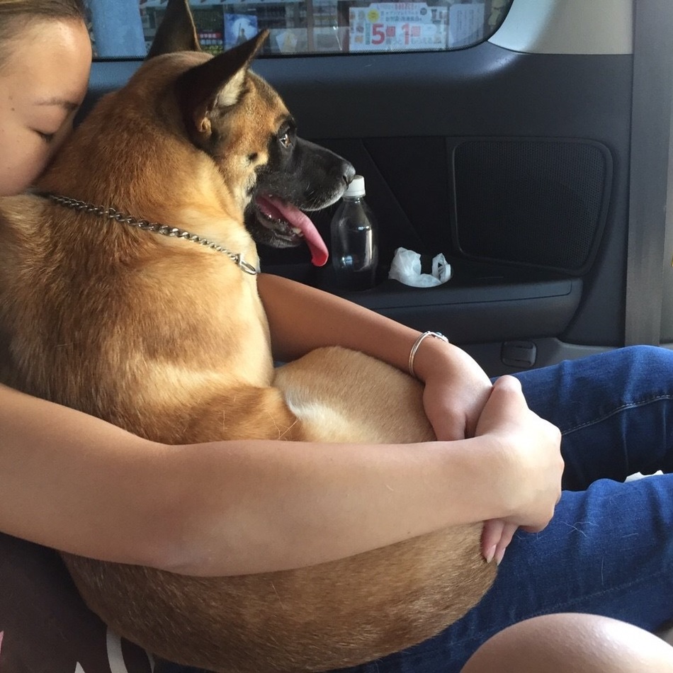 リヤンのカバー写真