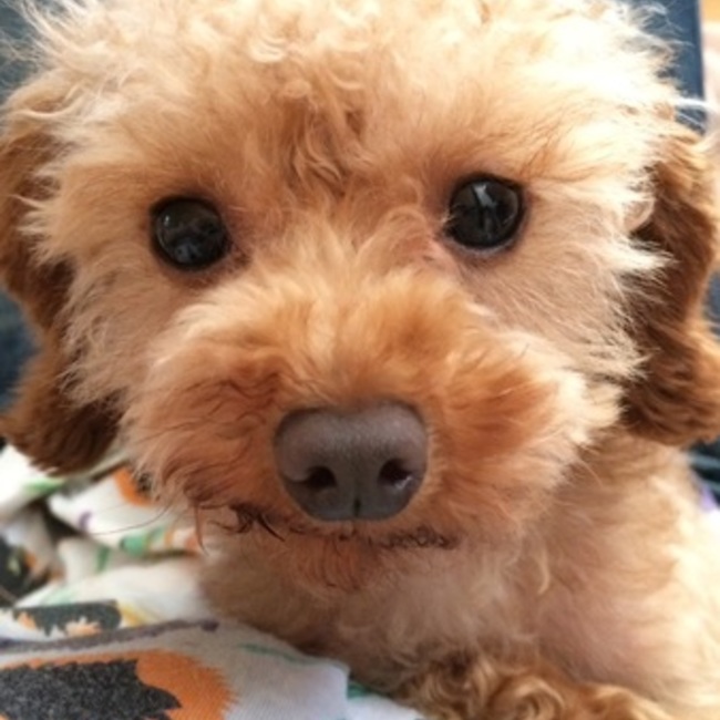 ☆とも☆ちん☆のカバー写真