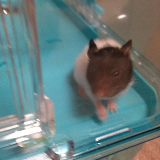 大切な家族を幸せにしてあげて下さい！