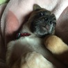 すごい顔 笑   それが可愛い‼️