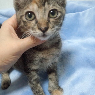 元気いっぱい♪おもちゃ大好きです♪