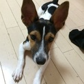 元気いっぱい♪