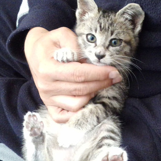 元気いっぱいです。