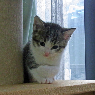 笑ってるような目元が可愛いんですね。