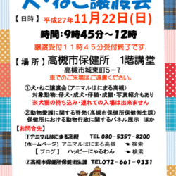☆アニマルはにまる高槻による犬ねこ譲渡会☆