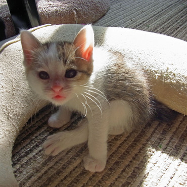 保護欲をかきたてる表情