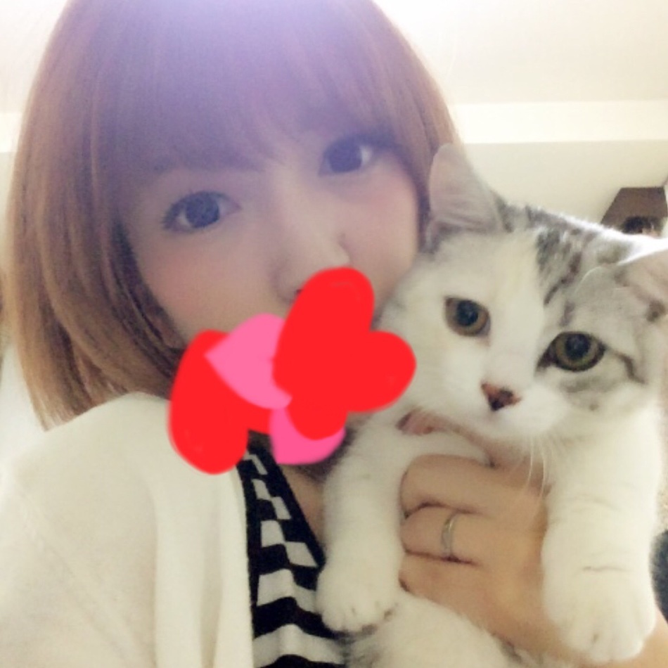 カビのカバー写真