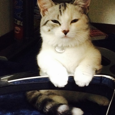 座りながら寝てました