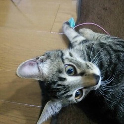 里親３ヶ月目☆