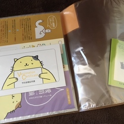 「里親３ヶ月目☆」サムネイル3